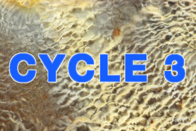 EP Aperçu CYCLE 3